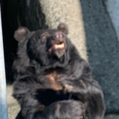 今日からのプロフィール画像