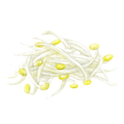 もやし@もやしと対話する男のプロフィール画像