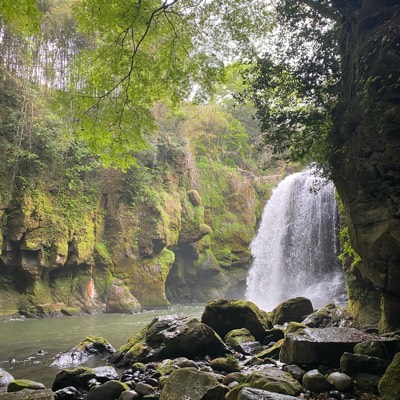 エリーのプロフィール画像