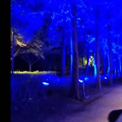 おおしおんのプロフィール画像