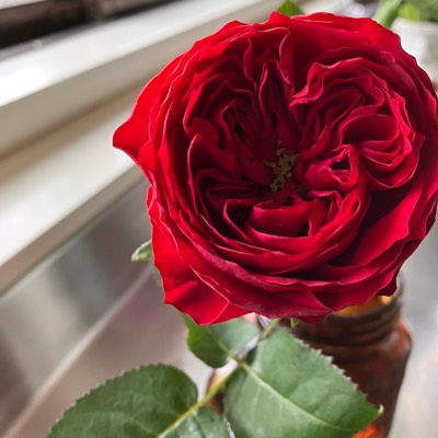 Hirokiのプロフィール画像